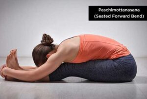 Paschimottanasana--Forward-Fold-Seated